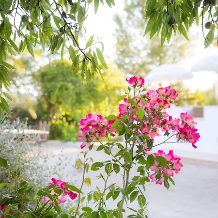 Hacienda El Tarajal Hotel *