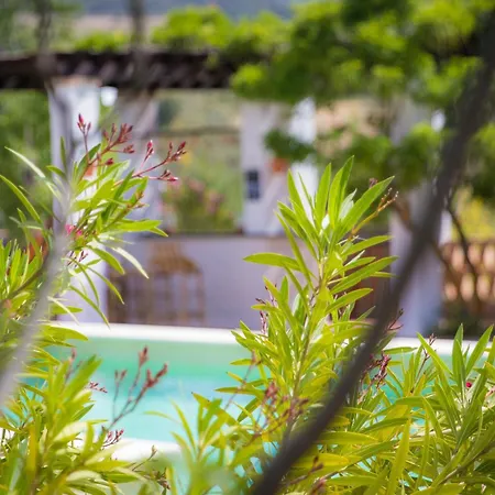 Hacienda El Tarajal Hotel Priego de Córdoba